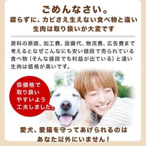 犬 馬肉 パラパラミンチ 1kg 500g×2...の詳細画像5