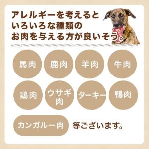 犬用 馬肉ミンチ 1.5kg 500g×3P ...の詳細画像5