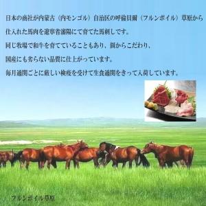馬刺し 赤身 50g×10P 食べきり小サイズ...の詳細画像5