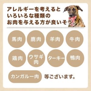 犬 猫 ペット 馬肉スライス 3kg(1Kg×...の詳細画像5