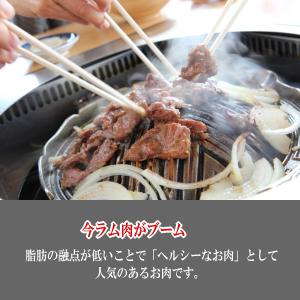 ラムショルダー500g 3.5ミリ スライス ...の詳細画像4