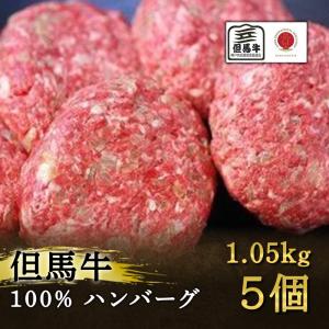【但馬牛100%】 ハンバーグ　5個　1.05kｇ 自家製 ミートマイチク　お中元 お歳暮 御祝 内祝 ギフト