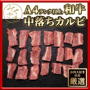 肉 焼肉 中落ちカルビ カルビ 牛肉 黒毛和牛 A4 400g 冷凍 送料無料 父の日 プレゼント ギフト 贈り物