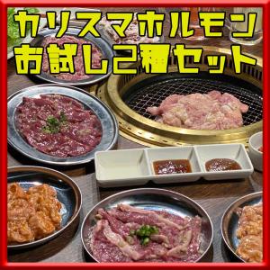 豚肉 ホルモン 肉 焼肉 当店プロデュース カリスマ 豚ホルモン お試し セット 200g 2種類 塩たれ 味噌たれ 味付き 冷凍 母の日 父の日 プレゼント ギフト 贈り物｜meat-miyazaki