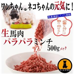 アニミューン 14g : OSK store - 通販 - Yahoo!ショッピング