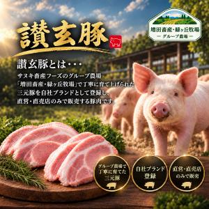 国産豚肉 讃玄豚 端っこ 切り落とし こま切れ...の詳細画像2
