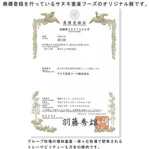 国産豚肉 ロースとんかつ トンカツ テキカツ用...の詳細画像1