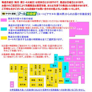 鎌田しょうゆ さぬきうどんつゆ20ml 1個の詳細画像1
