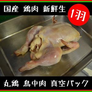 鶏肉 鳥肉 国産 丸鶏 新鮮生 1羽 （鳥中肉） 真空パック