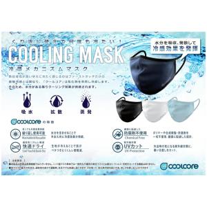 クールコア マスク (1枚) ロッキー -10...の詳細画像1