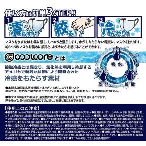 クールコア マスク (1枚) ロッキー -10...の詳細画像2