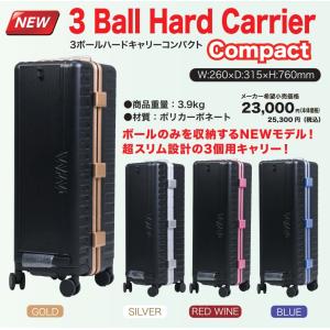 SB207-DF（ストーム） 2ボールローラーバック / STORM 2BallRollerBag