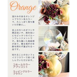 Lumiere Balloon(リュミエール・...の詳細画像2