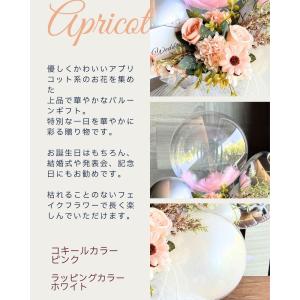 Lumiere Balloon(リュミエール・...の詳細画像4