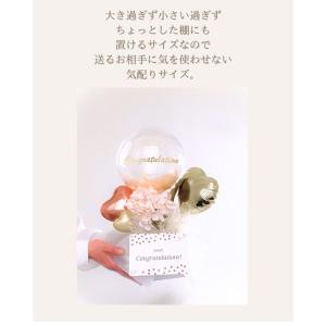 胡蝶蘭 ミディアムサイズ バルーンギフト ミデ...の詳細画像1