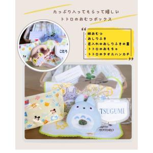 キャラクター おむつボックス となりのトトロ ...の詳細画像1