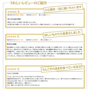 りんご乙女 16枚入 りんご お菓子 クッキー...の詳細画像5