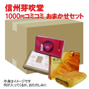 観光地応援 長野県 信州芽吹堂（北信地区商品） ご当地スイーツコミコミ1000円セット 信州みやげ  訳あり スイーツ 送料無料【00】