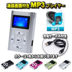 iPod classic Apple アップル アイポッド クラシック 160GB シルバー