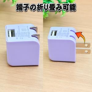 【PSE認証済】 STAYER USB ACア...の詳細画像4