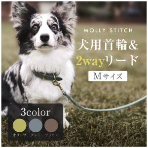 犬用首輪+リード Mサイズ 柴犬 ビーグル MOLLY&STITCH BUTTER 2Xの商品画像