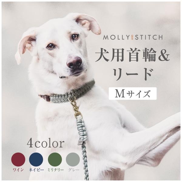 犬用首輪+リード Mサイズ 柴犬 ビーグル MOLLY&amp;STITCH TOUCH OF LEATHE...