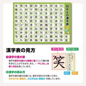 お風呂ポスター 知育 桜弥生 小学校4〜6年生...の詳細画像4