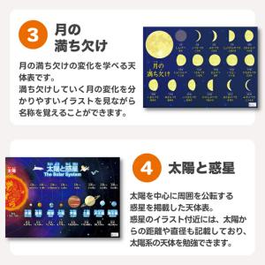お風呂ポスター 知育 5枚セット 桜弥生 学習...の詳細画像4