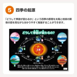 お風呂ポスター 知育 5枚セット 桜弥生 学習...の詳細画像5