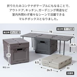 収納ボックス 折りたたみ 16.5L AMP ...の詳細画像2