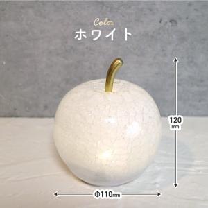 LUMO アップルランプ LEDライト付 コー...の詳細画像3