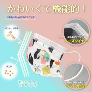 【ファッションマスク】柄マスク 不織布マスク ...の詳細画像2