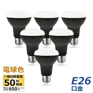 TOSHIBA（東芝） レフランプミゼット形（屋内用） 100W形 E26