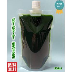 【スタンドパック充填済みで便利】グリーンウォー...の詳細画像1
