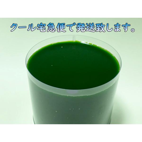 グリーンウォーター 500ml クール便 クロレラ水