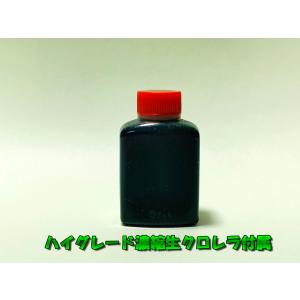 【ミジンコ繁殖セット】タマミジンコ 0.5g+...の詳細画像1