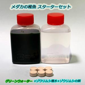 メダカの稚魚 スターターセット ゾウリムシとグ...の詳細画像1