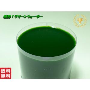 メダカの稚魚 スターターセット ゾウリムシとグ...の詳細画像2