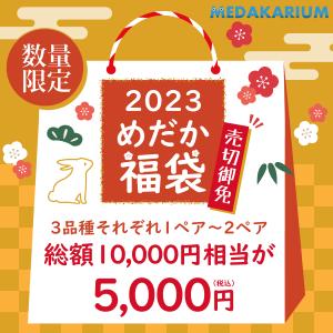 めだか 福袋 2023 5000円福袋 3品種 10000円相当