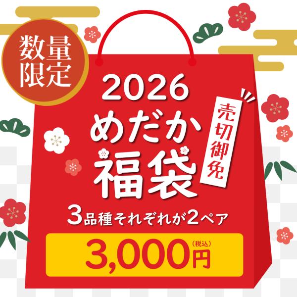 【数量限定】 めだか 福袋 2026 3000円 3品種 6000円相当 レビュー特典（産卵床＆餌）...