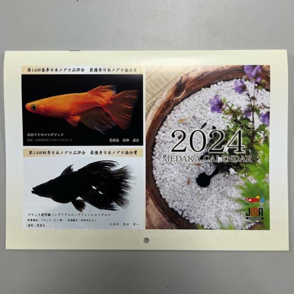 日本メダカ協会カレンダー 2024年