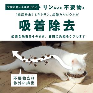 犬用 サプリメント 腎臓ケア 胃腸ケア 腸活 ...の詳細画像3