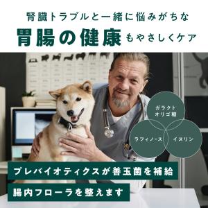 犬用 サプリメント 腎臓ケア 胃腸ケア 腸活 ...の詳細画像5