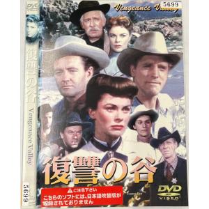 【送料無料】dw00970◆復讐の谷/レンタルUP中古品【DVD】｜media-alley