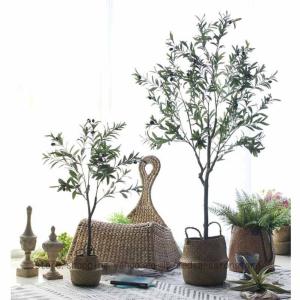 オリーブ 人工観葉植物 常緑樹 大型 フェイクグ...の商品画像