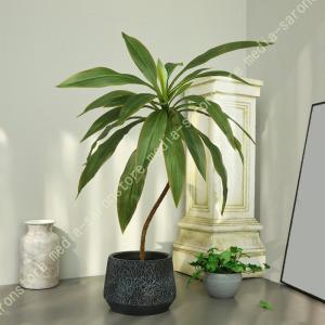 フェイクグリーン 人工ユッカ アガベ植物 観葉植...の商品画像