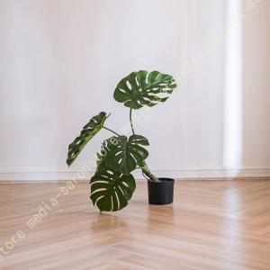 観葉植物 フェイクグリーン モンステラ おしゃれ...の商品画像