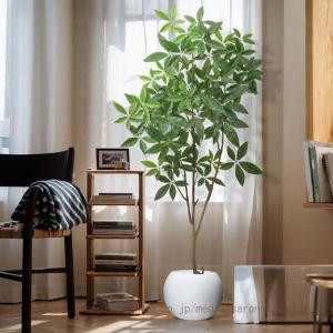 観葉植物 パキラ 多幸の木 大型 フェイクグリー...の商品画像