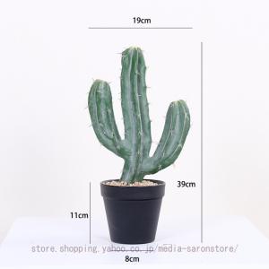 北欧風 フェイクグリーン 大型観葉植物 サボテ...の詳細画像2