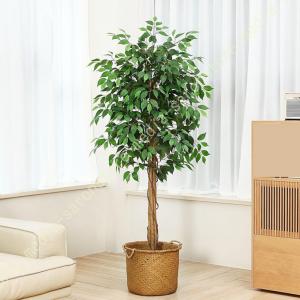 フェイクグリーン ベンジャミン 観覧植物 人工観葉樹 観葉植物 フェイクツリー 大型 鉢植え おしゃれ 常緑樹 害虫駆除不要 お手入れ簡単 お祝い 誕生日 結婚